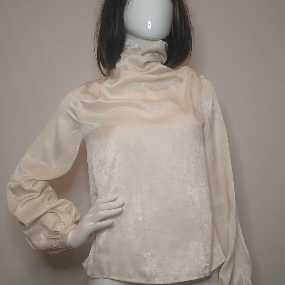 Draped front Lantern Sleeve Top